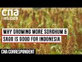 How Indonesia Is Diversifying Its Crop Production For Food Security | CNA Correspondent