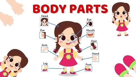 Bé học Tiếng Anh về chủ đề Bộ phận cơ thể | Body Parts in English