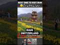 Iran’s Hidden Tulip Festival 🌷 Near Tehran 🇮🇷 | Best Time to Visit Iran for Nature Lovers #Iran