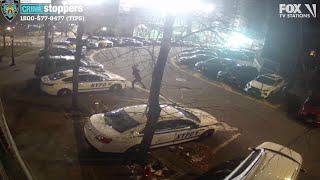 NYPD cars vandalized in the Bronx