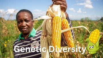 Understanding Genetic Diversity: The Key to a Healthy Ecosystem (2 Minutes)