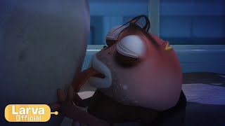 brown1 animation compilation larva tuba official