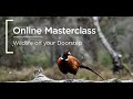 Online Masterclass | Canon | Wildlife on your Doorstep with Raj Khepar