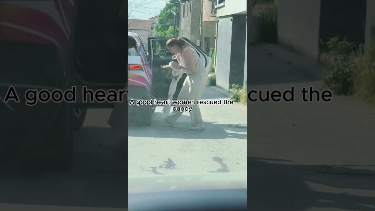 A good heart woman rescued the puppy  