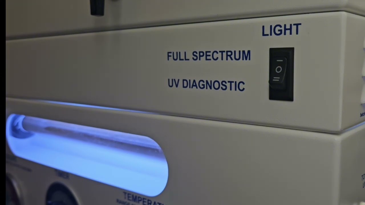 FEELING SLUGGISH OR BLOATED FROM THE HOLIDAYS??