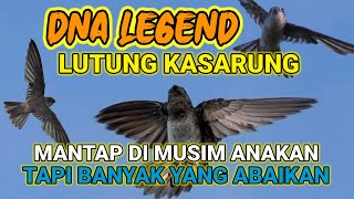 Download Gratis!!! DNA Suara Panggil Legend Ori KMK