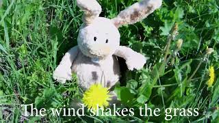 The wind shakes the grass