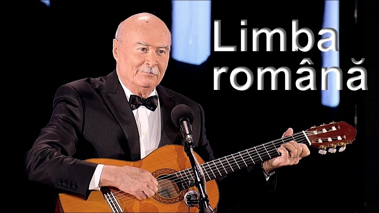 Limba română - George Sion, Nichita Stănescu