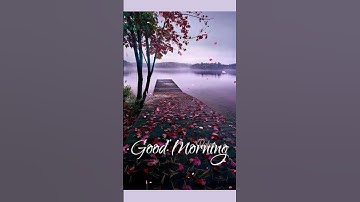 Beautiful morning wishes 💖💖 good morning whatsapp status video ||#shorts #relaxingmusic #nature
