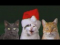 JINGLE CATS Let-It-Snow-Cats SCREEN TEST 003