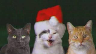 JINGLE CATS LetItSnowCats SCREEN TEST 003