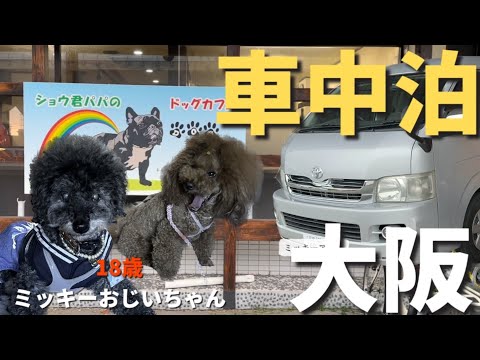 【キャンピングカー 車中泊】18歳ミッキー5泊6日2000キロキャンピングカー車中泊の旅！最終日大阪編