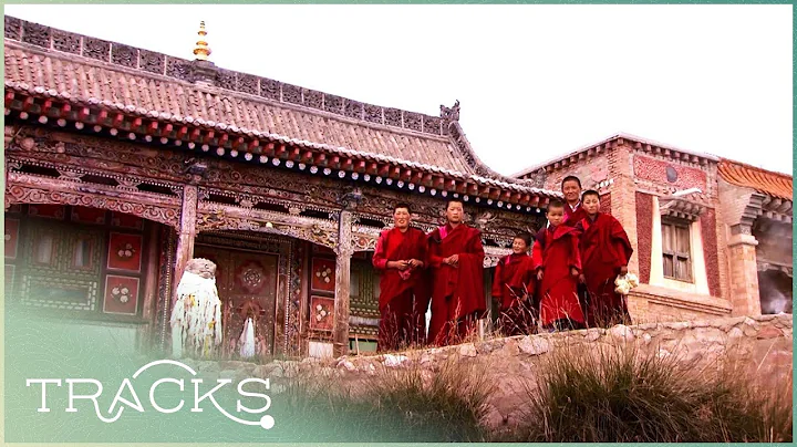 Buddhist Nuns of the Lotus Monastery | Full Episode | TRACKS - DayDayNews