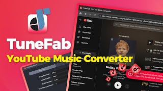 Tunefab Youtube Music Converter Im Überblick 2024