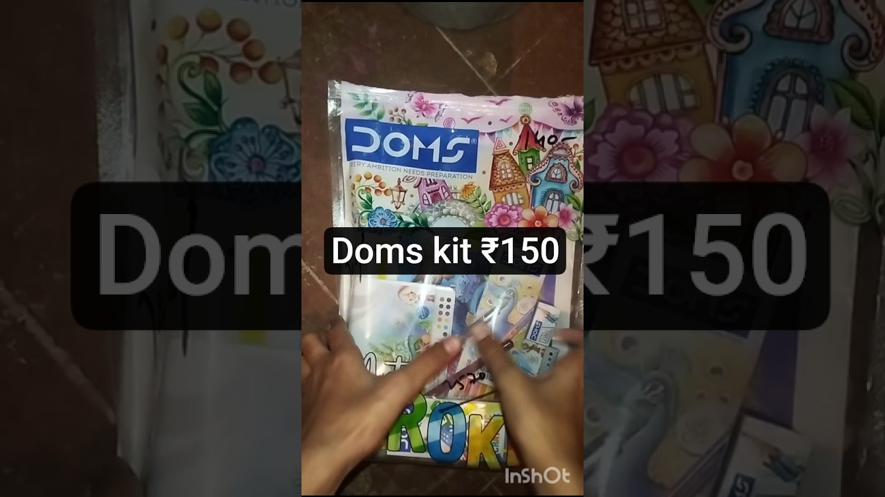 doms Kit Unboxing Ray Artist painting I will 