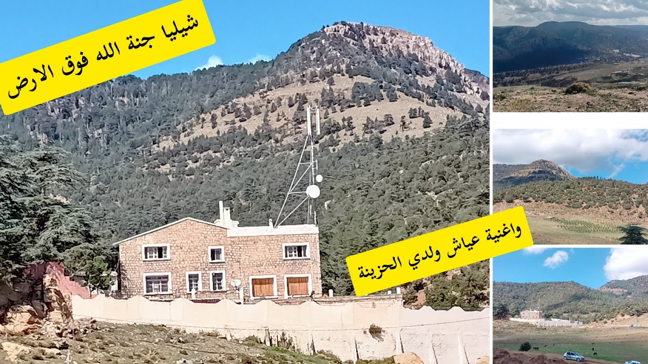 @فلوق شيليا اول نوفمبر الله يرحم الشهداء من ارض المجاهدين والشهداء الاوراس الاشم حنبلة#تحويسة شيليا