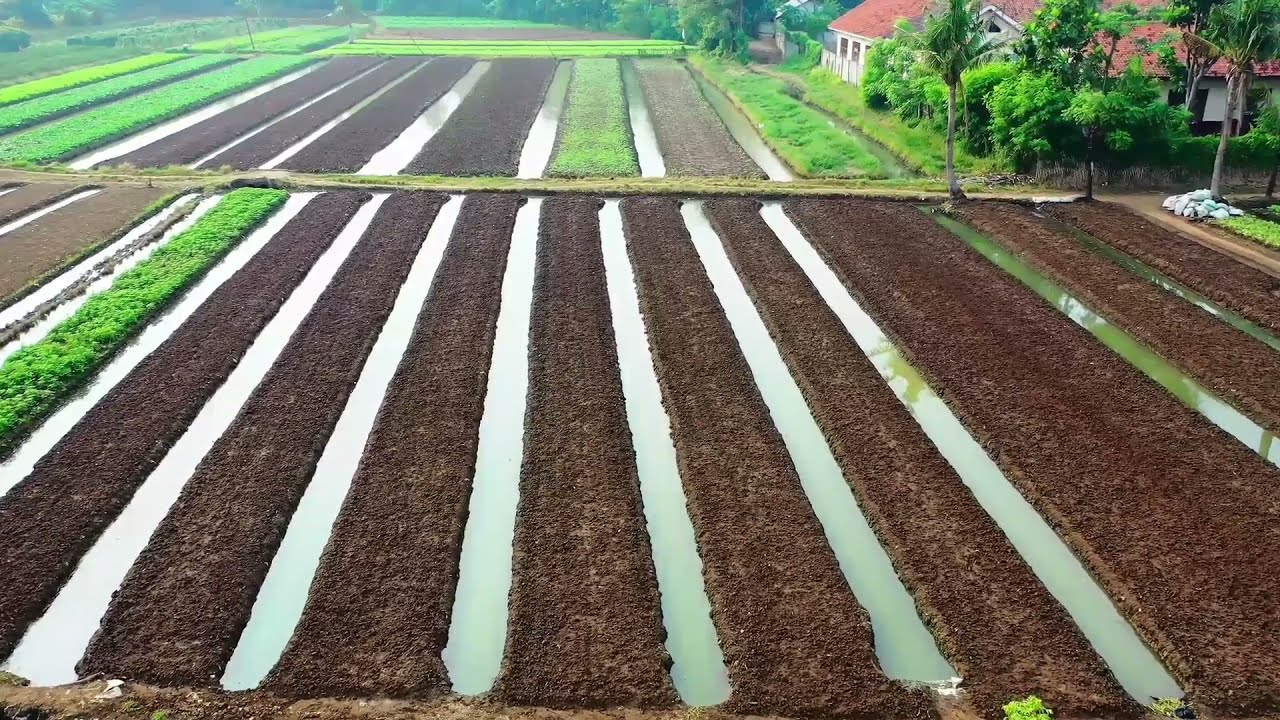 65 minutes of Beautiful relaxing music Peaceful piano music and nature videos. 