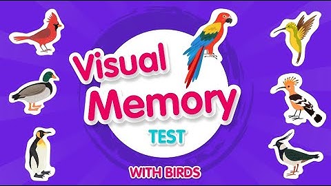 Visual Memory Test for Kids! | Can you solve all the questions? | Birds Quiz