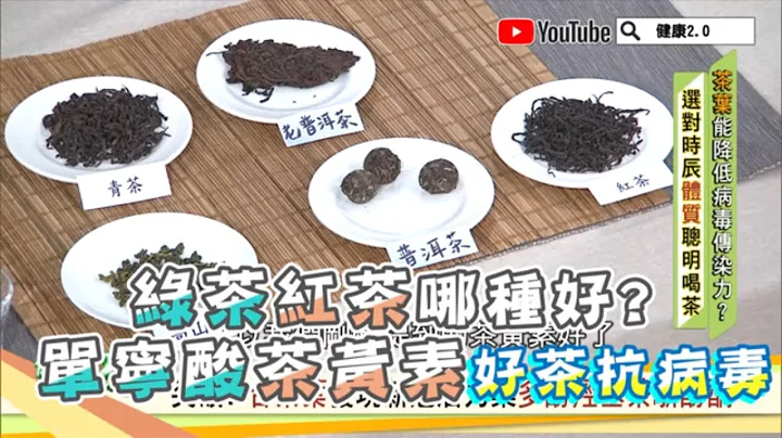 綠茶 紅茶 哪種好？ 茶黃素 單寧酸 這種茶最多！好茶可以抗病毒？ 健康2.0 精華 - 天天要聞