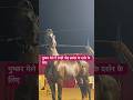 क्या बात है पुष्कर मेले की #viral #love #horse #horsecare #trending  #horselove #youtubeshorts