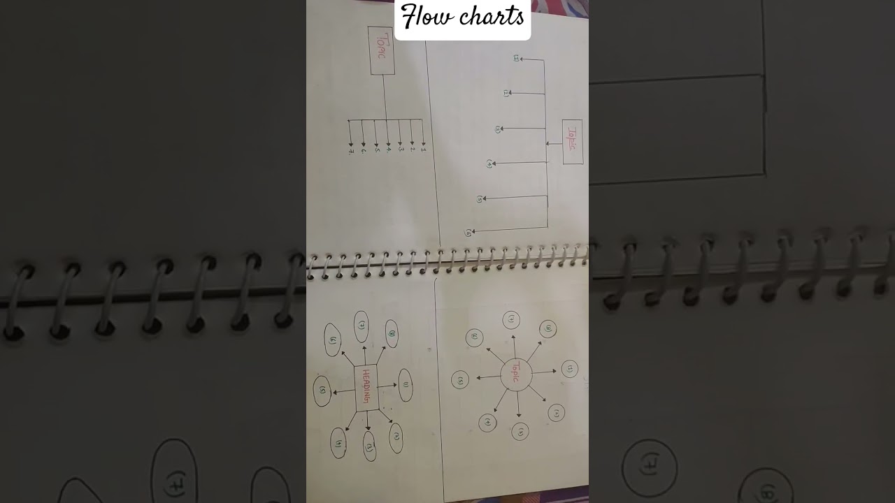 B.Ed |Exam| Flow chart|How to make flow chart?
