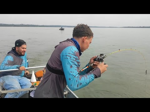 PESCARIA DE PIAPARA FOI UMA LOUCURA O TAMANHO DOS PEIXES QUE TAVA ENTRANDO NA PESCARIA/RIO PARANÁ 