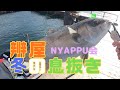 暴風でもオフの釣り日和12月14日海上釣堀辨屋