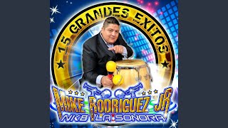Video thumbnail of "Mike Rodríguez Jr. NK8 La Sonora - Gaviota"