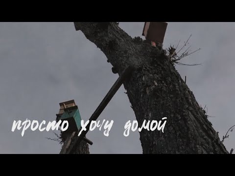 ssshhhiiittt! - домой (Lyric Video)