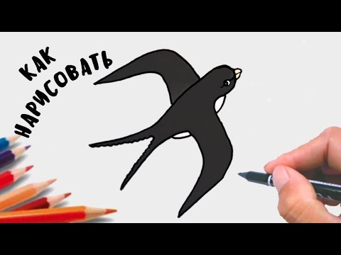 Как нарисовать ласточка, просто рисуем, Урок рисования для детей.😉