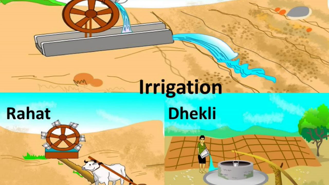 Agriculture Chart In Hindi