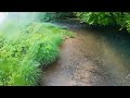 Trout Fishing A PA Stream (Slow Start Strong Finish) #fishing #trout #mepps