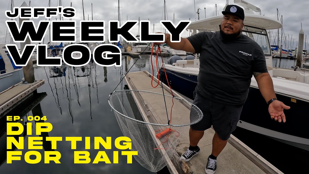 Jeff's Weekly Vlog- 004 Dip Netting For Bait 