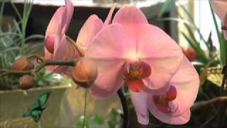 La Belle Fleur Floral Boutique Ltd - Surrey