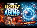 Stem Cells: The Cells That Define Human Health Limits!