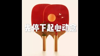 202001 先停下起心动念51419