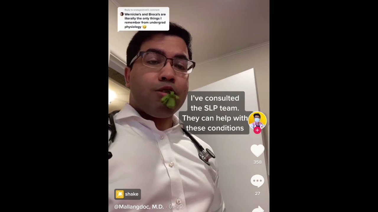 Patient's diagnosed with Broca's Aphasia.