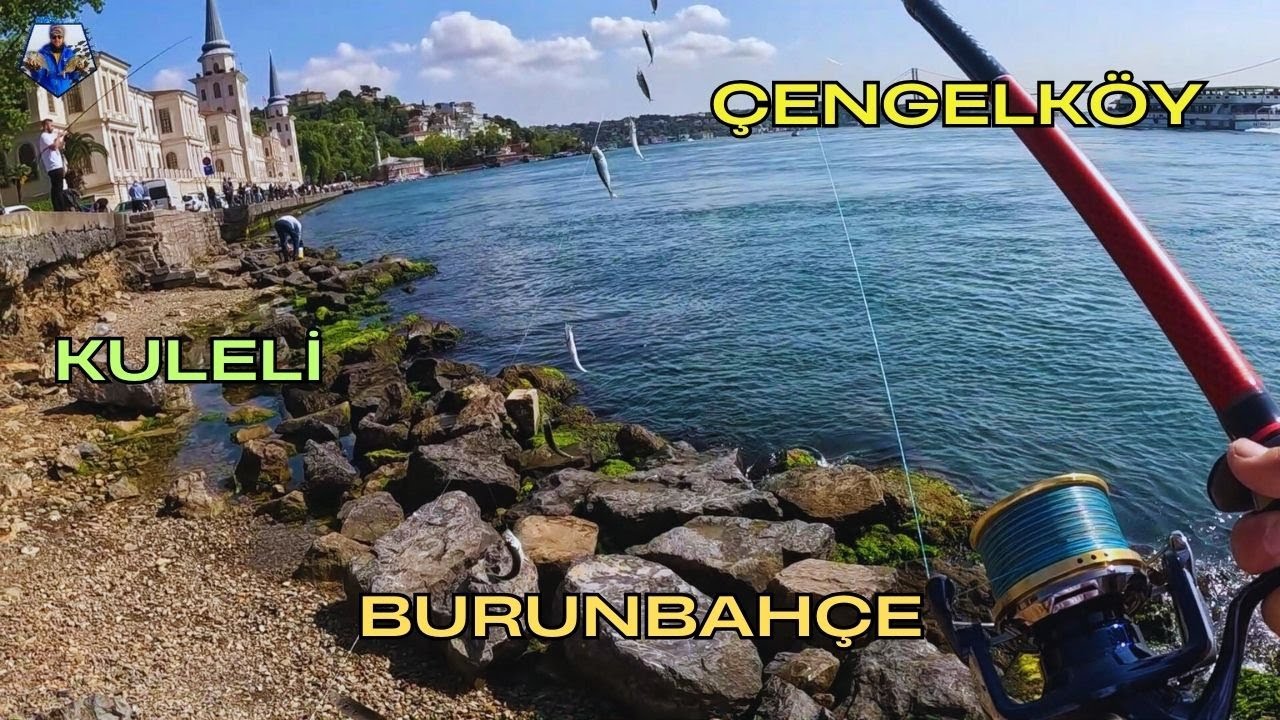 KULELİ İSTAVRİT AVI | ÇAPARİ İLE BALIK AVI #fishing #balıkavı #istavritavı