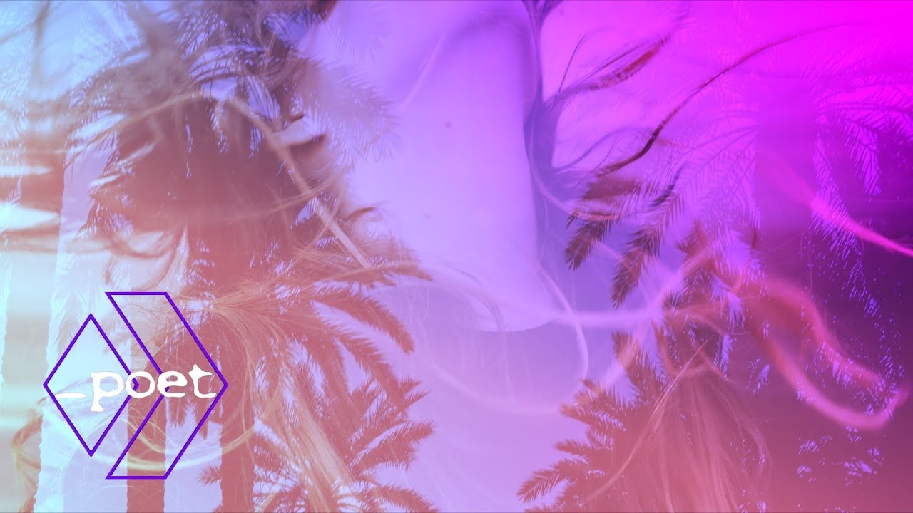 electronics Da Vosk Docta - Palmtrees