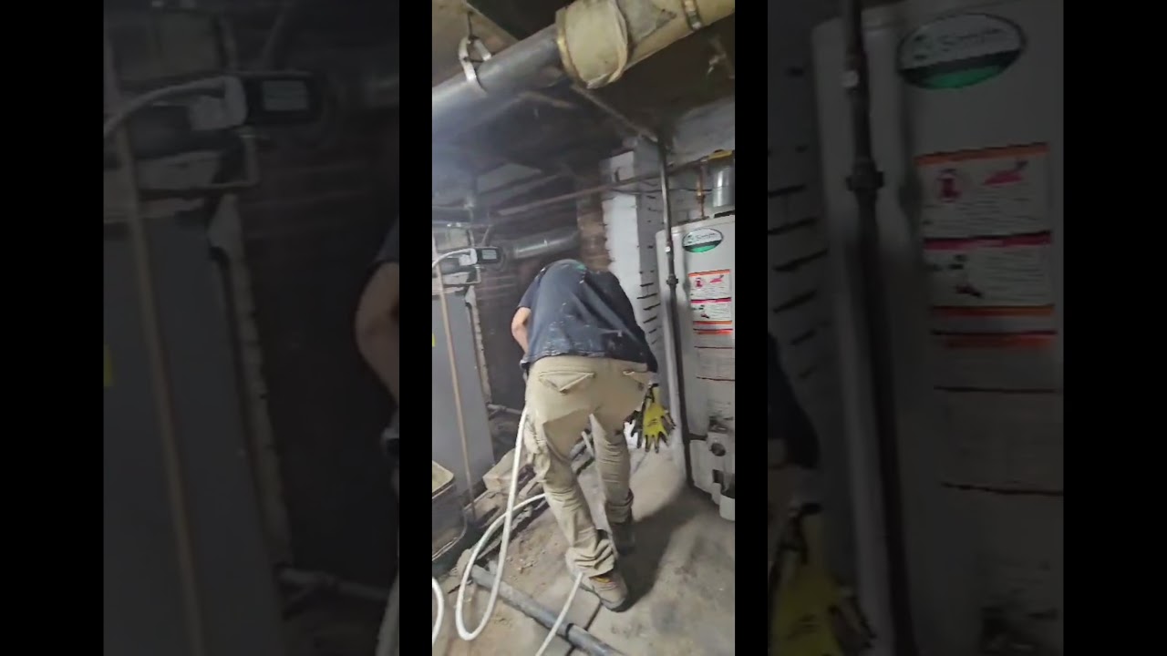 Mold Remediation Company Near Me! Moldy, Basement in Park Slope, Brooklyn  Black Mold Removal 