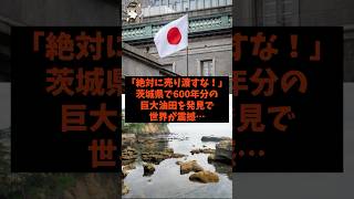 「絶対に売り渡すな!」茨城県で600年分の巨大油田発見で世界が震撼…#shorts #自民党 #国民民主党 #立憲民主党 #高市早苗