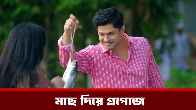 Yalangoch qizlar mushuklarining yaqindan suratlari