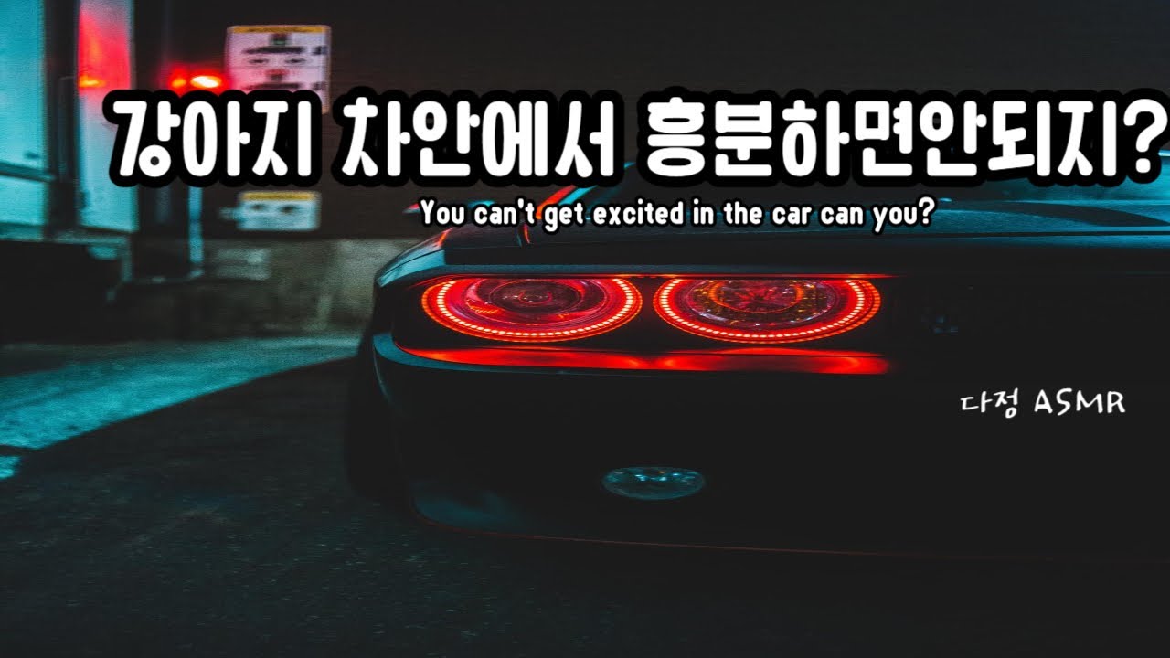 [남자ASMR/ Eng Sub] 강아지, 차 안에서 흥분하면 안되지? 차 안에서 혼나는 강아지 (​Korean Boyfriend ASMR │남친롤플 │중저음 ASMR│롤플레잉)