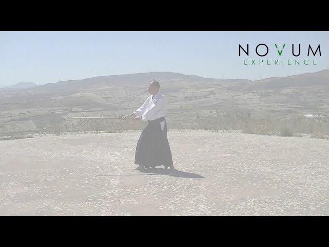 06 Shomen Uchikomi-Aikido Novum Experience-Jo Suburi Nijuppon- Uchikomi Gohon-正面打ち込み- 杖素振り20本-打ち込み 本