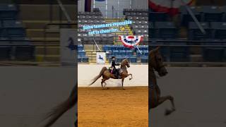 Nash Vegas | The Horse Everyone Cheers For