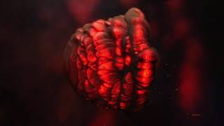 CronBot V2 o melhor robô para iqoption screenshot 4