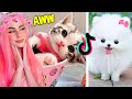 IF YOU DON'T SMILE AT THESE TIKTOK PETS YOU HAVE NO SOUL...