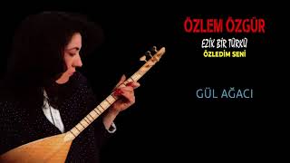 Özlem Özgür - Gül Ağacı Resimi