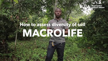 How to Measure Soil Macrolife: Soil Health Tests for Agroforestry Producers