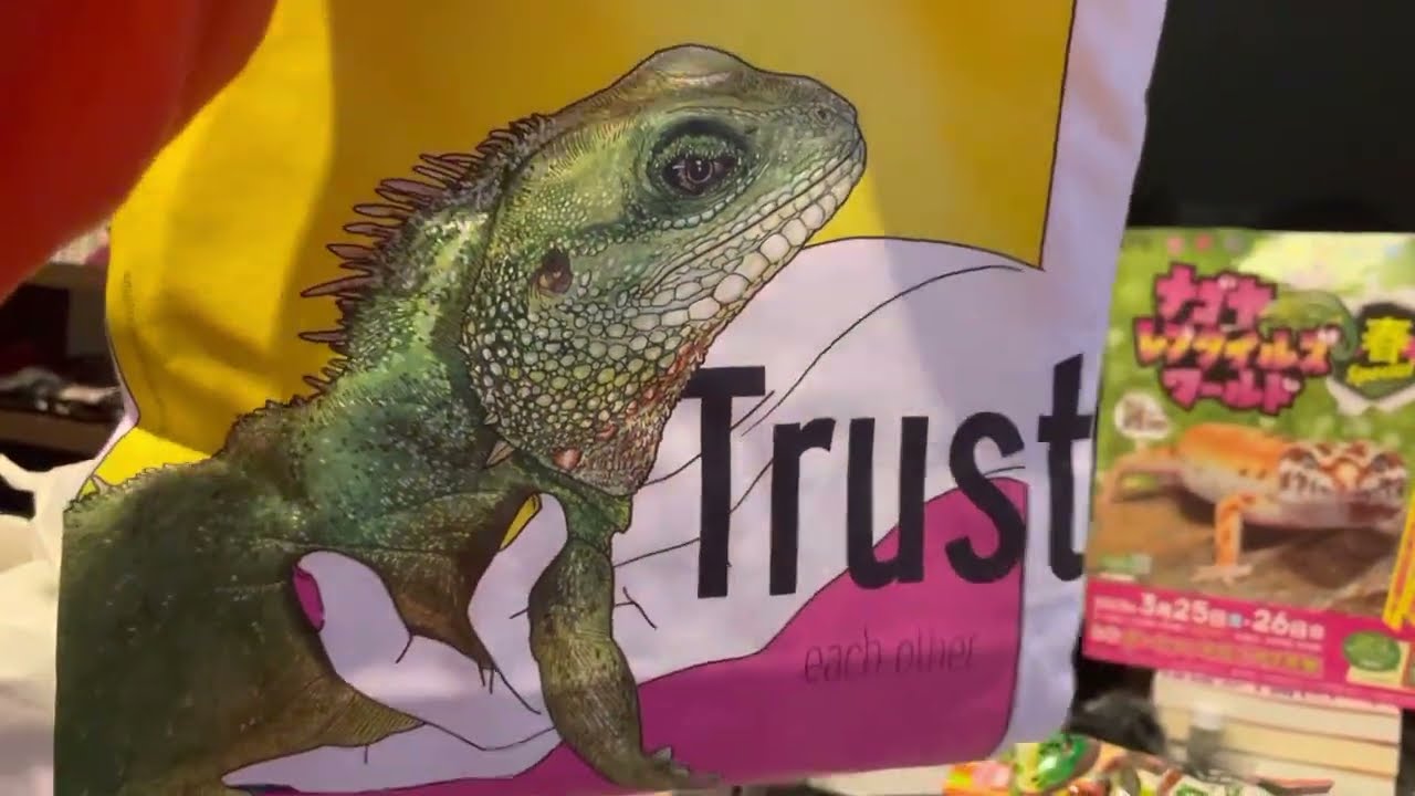 「購入品紹介」東海地方最大級の爬虫類イベントで爆買いした物を全て紹介します　